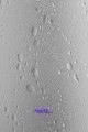 Шторка для ванны Алегра 1500х900 (4 ств. пластик)